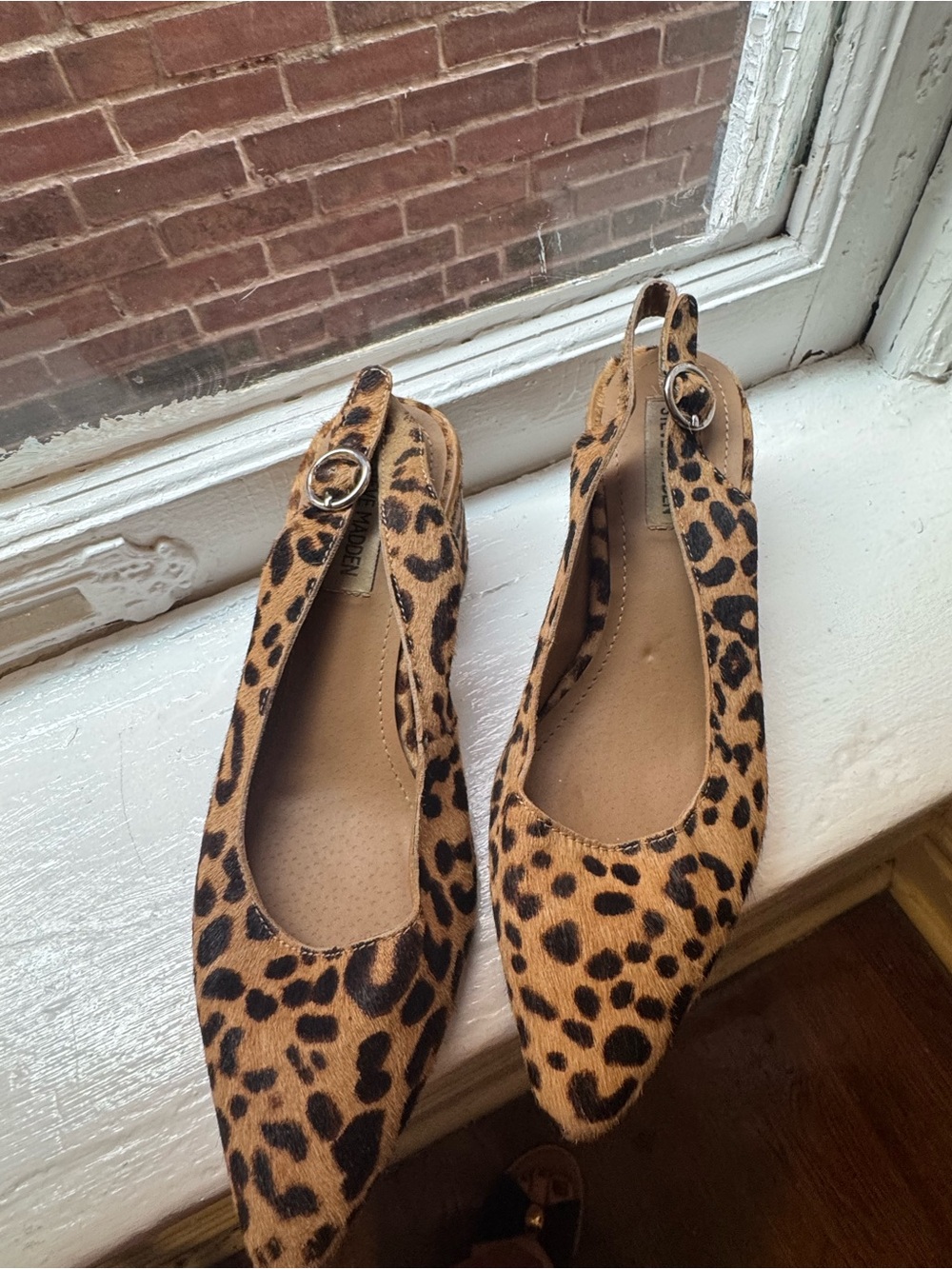Steve Madden Leopard Print Slingback Flats in Tan and Black